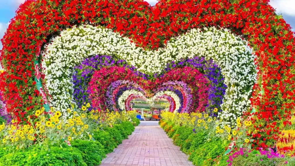 تونل قلب باغ گل دبی